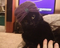 I made a tiny turban for a friends baby tried it out on the cat first
