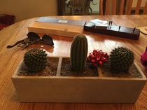 I made a Valentines Day arrangement for my girlfriend