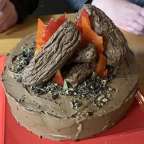 I made my friend a campfire cake for her birthday but the more I look at it the more it looks like a flaming pile of shit