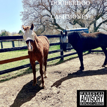 I made thisAlbum cover with my horses as a joke and turned out pretty good