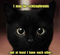 I may be schizophrenic