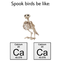 I mean it IS spook season