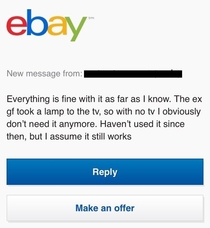 I messaged a guy on eBay about a TV remote he was selling The answer came with a plot twist