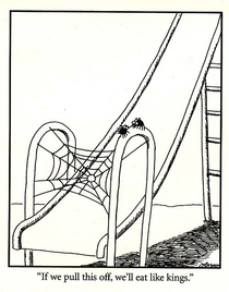 I miss The Far Side sometimes