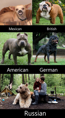 I must have a Russian dog