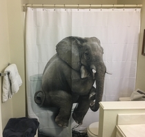 I need a new shower curtain guess Ill just google awesome shower curtain