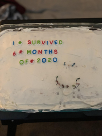 I needed a reason to celebrate to bake a cake