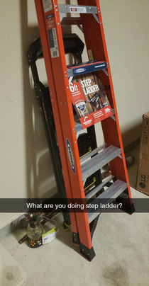 I never knew my real ladder