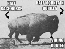 I never realized how terrifyingly badass the buffalo is