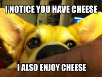 I notice you have cheese