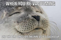 I only vacuum for this reason