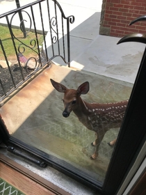I opened my door and fawn said Excuse me do you have a minute to talk about Gods good news