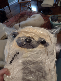 I ordered a stuffed sloth and this is how it came