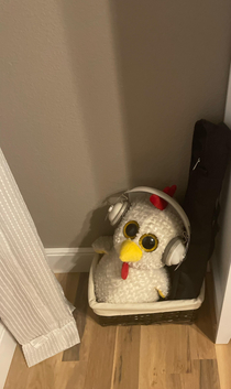 I own a chicken plush and headphones that I dont really use anymore My dad apparently decided to do this