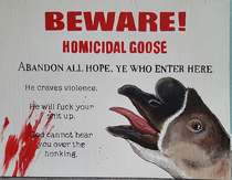 I painted a sign for my goose to warn people