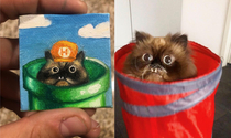 I painted the cat goomba from yesterdays front page on a tiny canvas