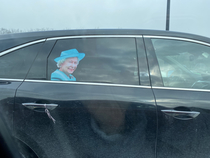 I parked next to the Queen at the grocery store this morning