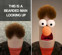 I photoshopped a bearded man into a muppet