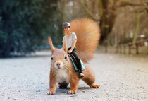I photoshopped a woman and a squirrel