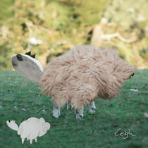 I photoshopped my daughters sheep