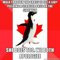 I present Socially Canadian Penguin