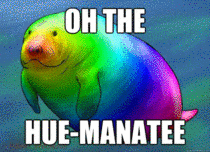 I present to you the gif that convinced me to make an account one year ago today - Meme Guy I present to you the gif that convinced me to make an account one year ago today - Meme Guy