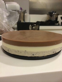 I present to you the Oreo nutella cheesecake