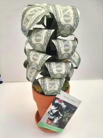 I present you the Money Plant