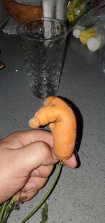 I pulled this carrot todaywith my strong hand