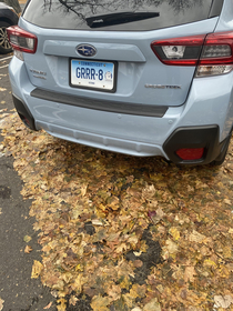 I ran into this car at the grocery store