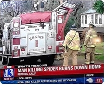 I read this as man-killing spider burns down home which would make for a much better story