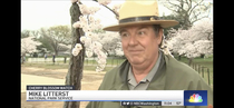 I respect this park rangers dedication to the cherry blossoms but he should really consider going by Michael