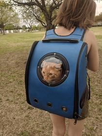 I saw a cat backpack at the park this weekend