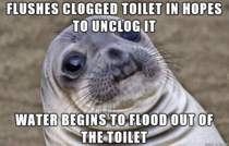 i saw it in the movies thinking flooded toilets were fake
