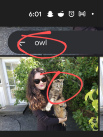 I searched my Google Pics for a picture of an owl I took a while back 