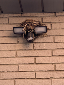 I see my neighbour got one of them nest security spotlights