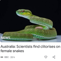 I see our scientists are doing important work