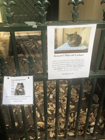 I see these cats every day on my way to the bus stop Today this sign appeared