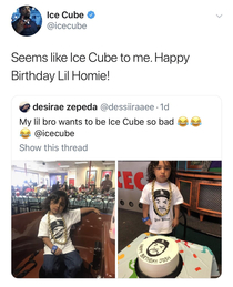 I see two pictures of IceCube