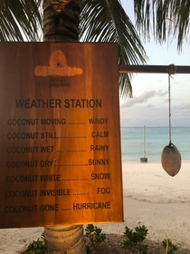 I see you weather stationlog and raise you a coconut