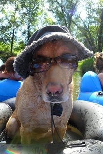 I see your dog rocking sunglasses and raise you my dog rocking sunglasses and a hat while tubing down the river