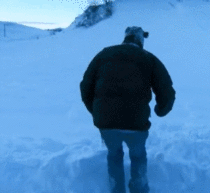 I see your Fox hunting for mice under the snow and raise you Jeremy Clarkson