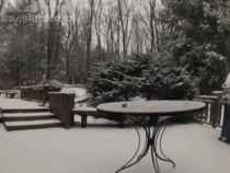 I see your yr old cashier and raise you a snow storm timelapse