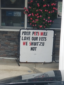 I shihtzu not this was at my Local veterinary office