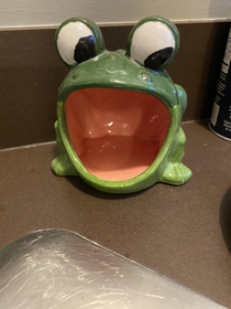 I showed the frog sponge pic to my frog sponge holderhere was his reaction