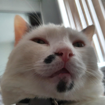 I showed you my belly Please respond