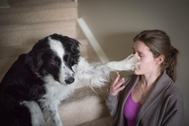 I snapped a picture of my dog bitch slapping my girlfriend