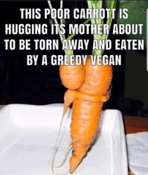 I stand for Carrot Rights  cuddleforcarrots