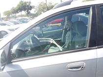 I stayed in the car while the adults went in the DMV took a nap for a bit After waking up in the front seat I saw this fella in the car next to me