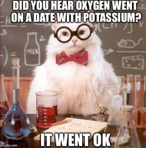 I still love Science Cats cheesy puns